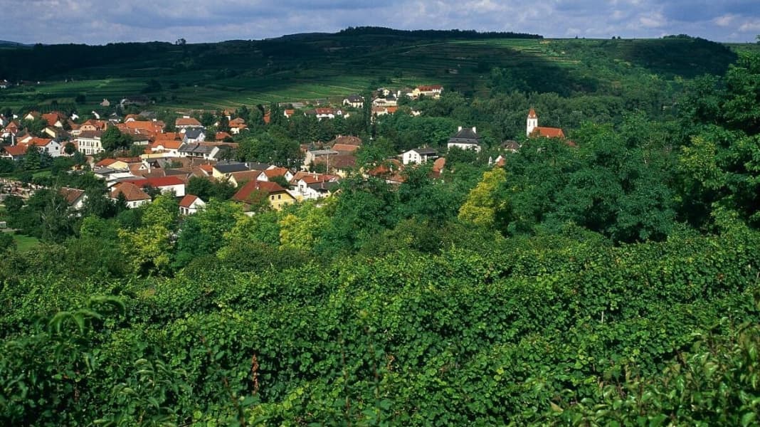 Niederösterreichs längste Route durchs Wein- und Waldviertel
