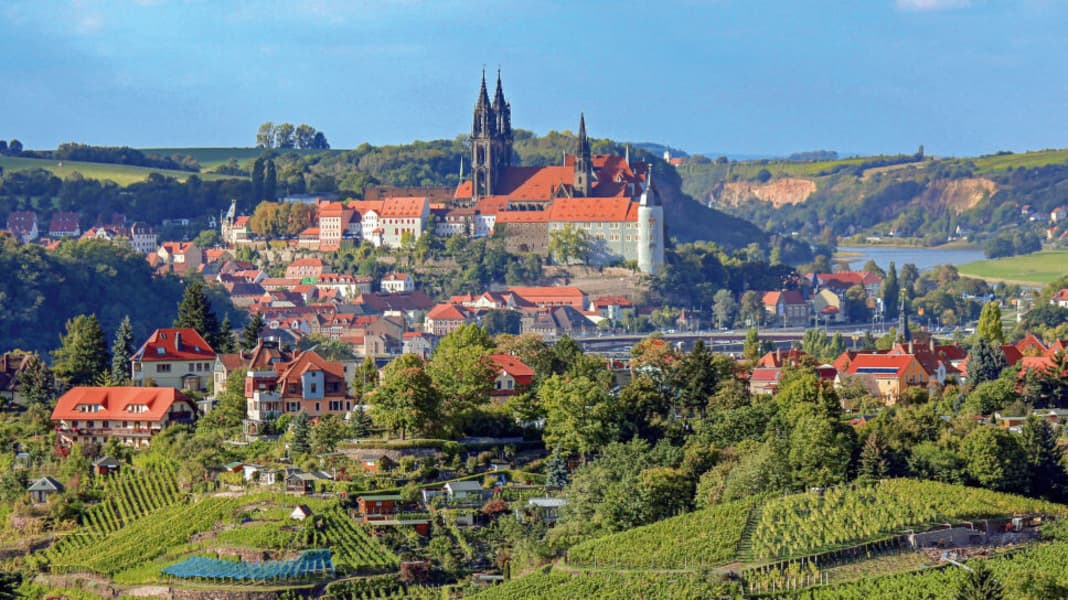 Der Wein ist das Ziel