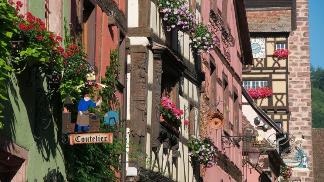 Route des Vins – Radrundweg durch Weinberge