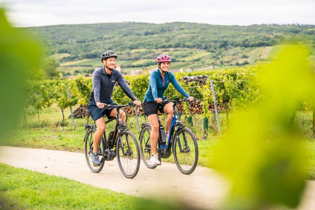 Die Weingärten Niederösterreichs lassen sich gut mit E-Bikes erkunden. 