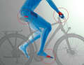Probleme beim Radeln können am gesamten Körper auftreten, die Stellschrauben dagegen reduzieren sich auf die drei Kontaktpunkte Füße, Hände, Po. Ihre Ausformung und Position zueinander sind Gegenstand der Rad-Ergonomie.