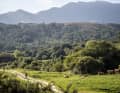 Sattgrünes Hinterland: Asturien gilt als die "Schweiz Spaniens"