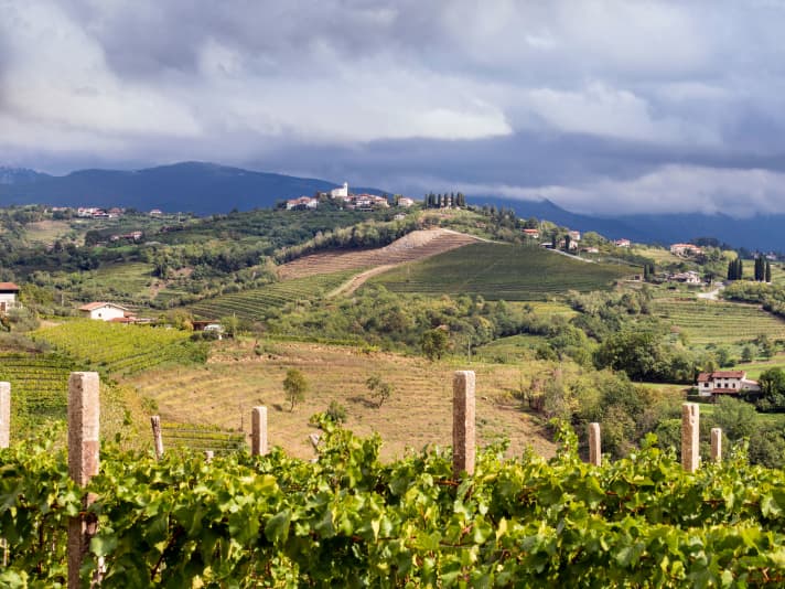 Die Weinregion Goriska Brda erinnert stark an die Toskana.