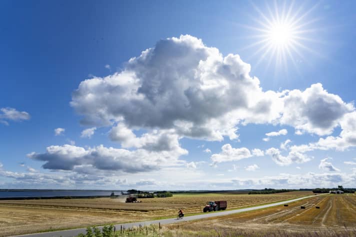 Weite Getreidefelder prägen die Landschaft in Nordjylland 