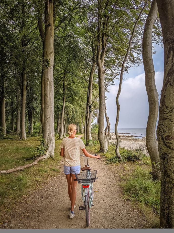    Hornbaek Plantage
