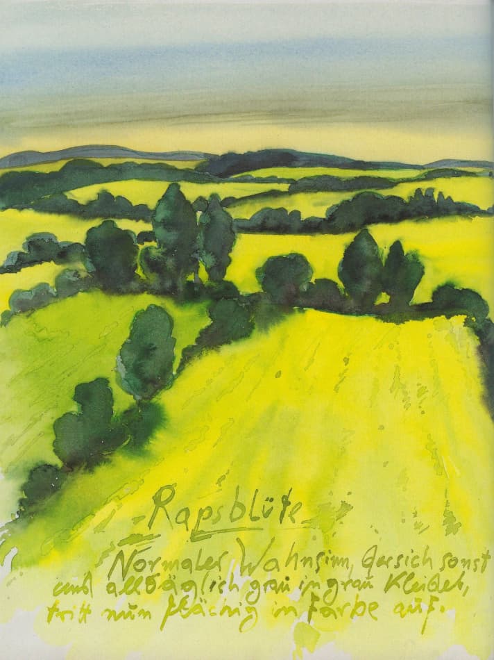  Aquarell Rapsblüte
