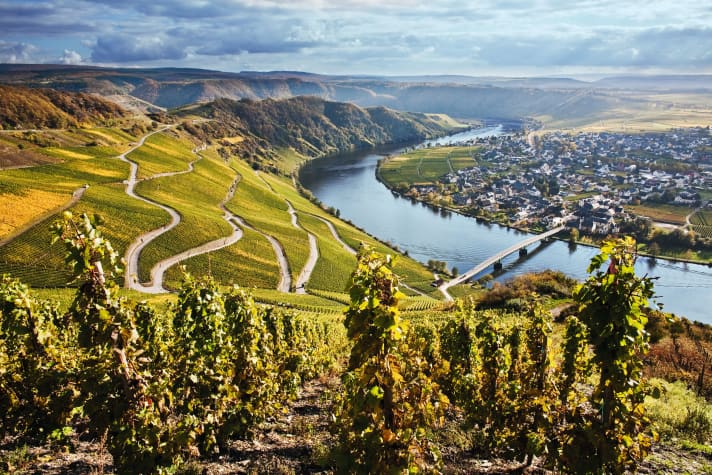 Auf den Radtouren durch die Weinregionen gilt: Erst die Aussicht genießen, dann den Wein.