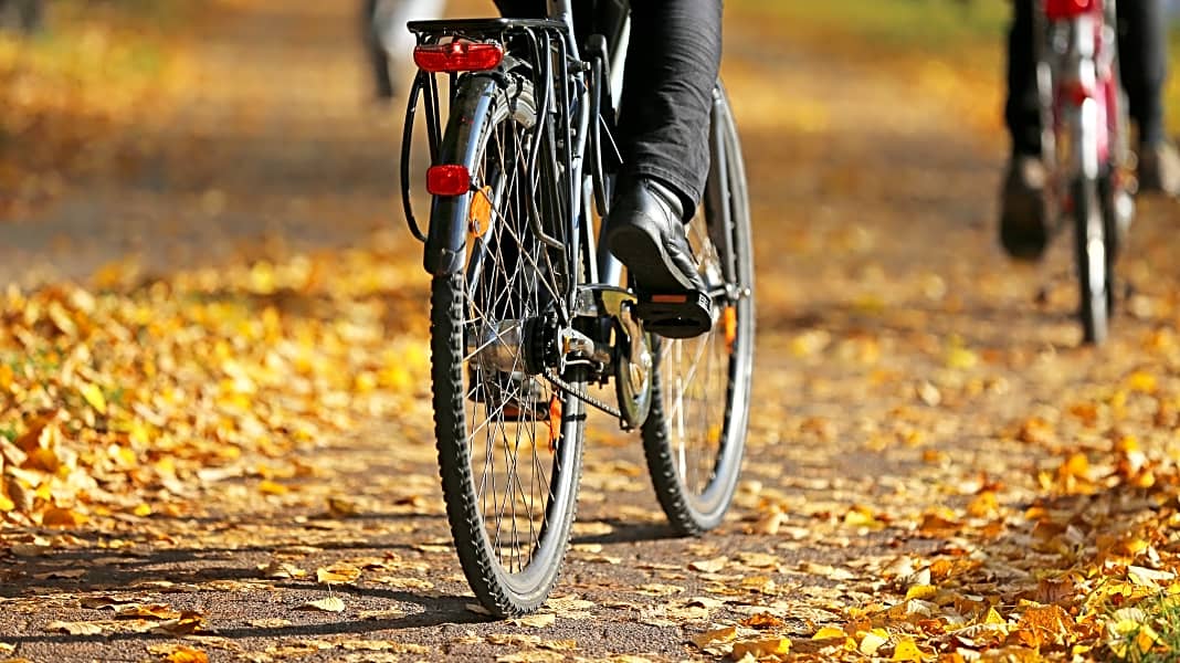 Radfahren im Herbst: Vorsicht bei nassem Laub auf dem Radweg!