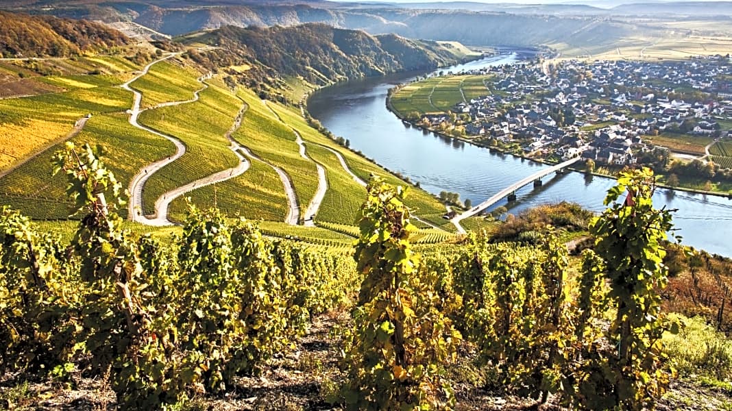 Radeln zum Riesling: 7 Mosel-Radtouren in die Weinberge  MYBIKE