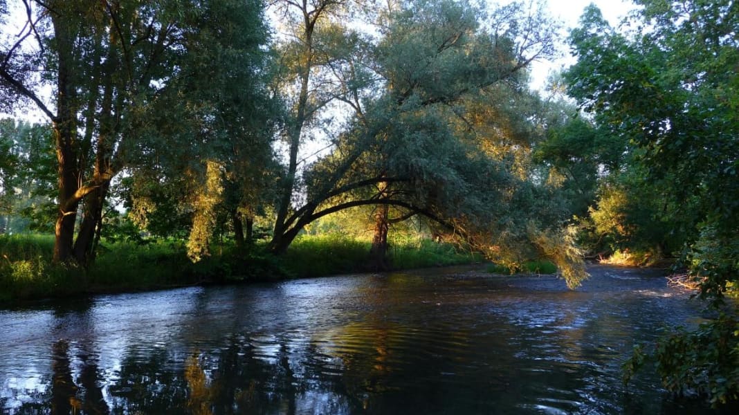 Durch das idyllische Flusstal von Willingen zur Weser