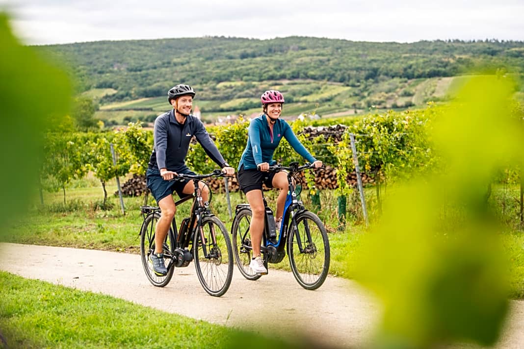 Die Weingärten Niederösterreichs lassen sich gut mit E-Bikes erkunden. 
