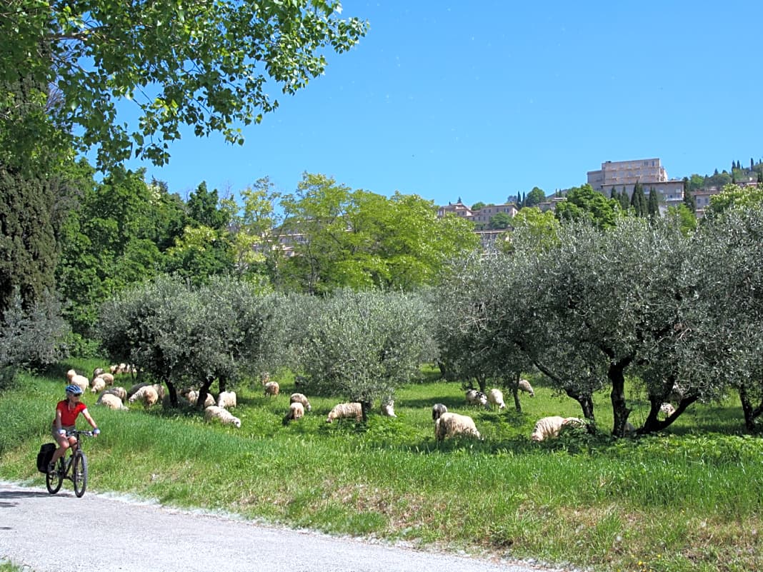 Ein Erlebnis für sich ist der antike Weg von Spello nach Assisi.