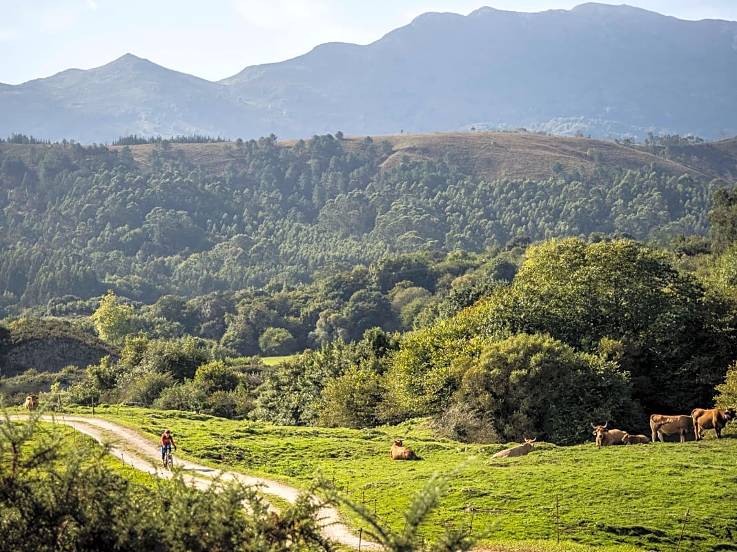 Sattgrünes Hinterland: Asturien gilt als die "Schweiz Spaniens"
