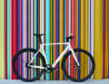 Auch das Das Rose Sneak+ ist Teil unsere Urban Bike-Vorstellung
